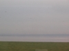 img003.jpeg