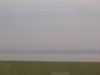 img003.jpeg.small.jpeg