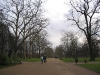 img007.jpeg