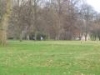 img008.jpeg.small.jpeg