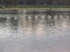 img019.jpeg