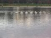 img019.jpeg.small.jpeg