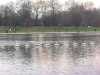 img020.jpeg