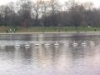 img020.jpeg.small.jpeg