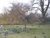 img022.jpeg.medium.jpeg