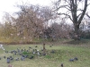 img023.jpeg