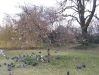 img023.jpeg.medium.jpeg