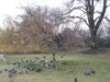 img023.jpeg.small.jpeg