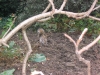 img024.jpeg
