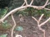 img024.jpeg.small.jpeg