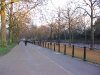img028.jpeg