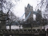 img085.jpeg