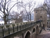 img090.jpeg
