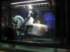 img096.jpeg.small.jpeg