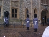 img107.jpeg.medium.jpeg