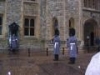 img107.jpeg.small.jpeg